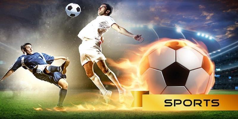 Giới thiệu sảnh BetISN Vnz6
